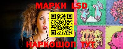 крисы Моздок