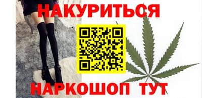 крисы Моздок
