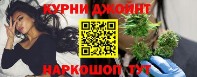 крисы Моздок