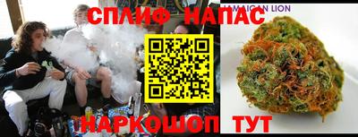 крисы Моздок