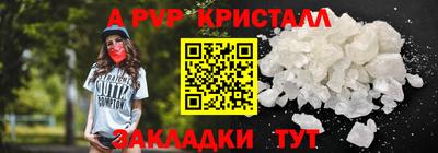 крисы Моздок