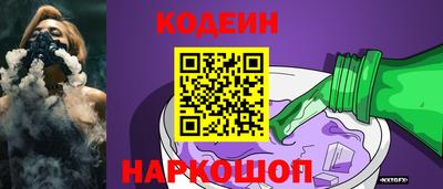 крисы Моздок