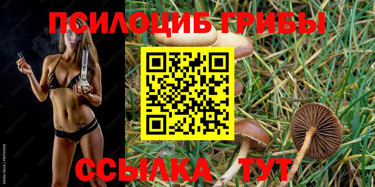 Псилоцибиновые грибы мицелий  Вход с VPN  Воркута  Галлюциногенные грибы прущие грибы 